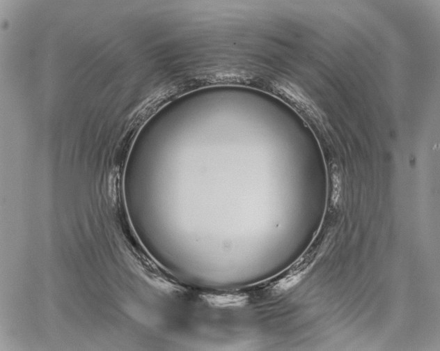 X0000062670165200601041019