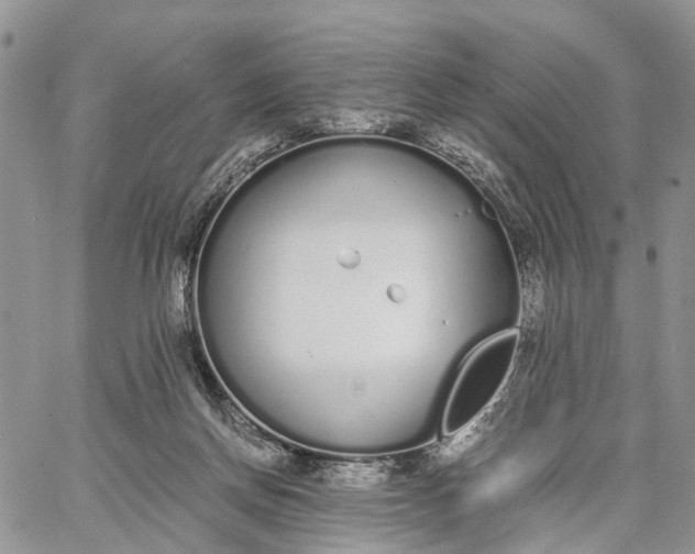 X0000062670166200601041019