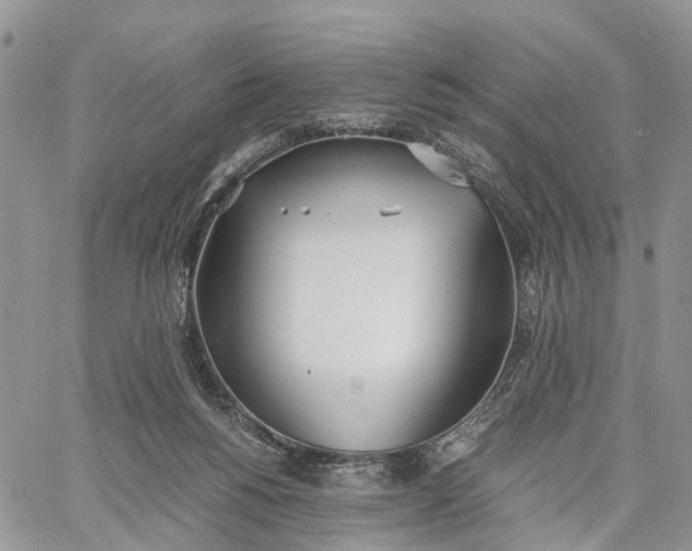 X0000062670168200601041019