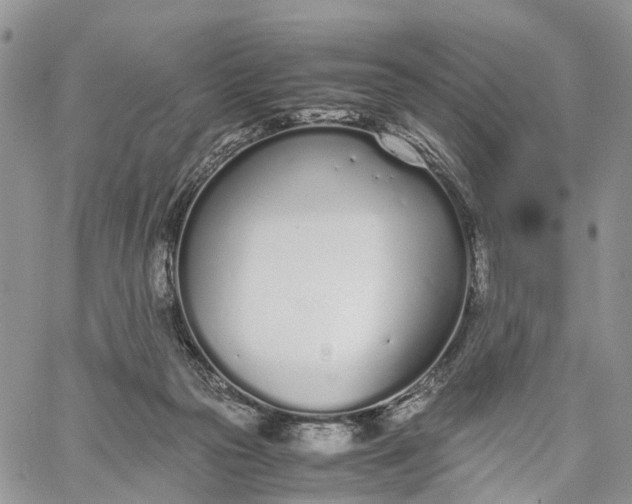 X0000062670169200601041019