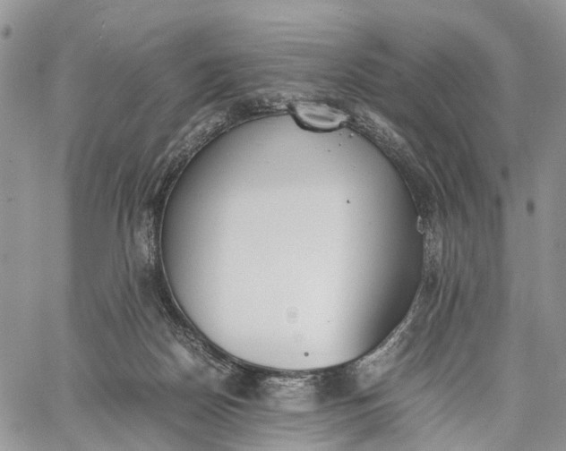 X0000062670170200601041019