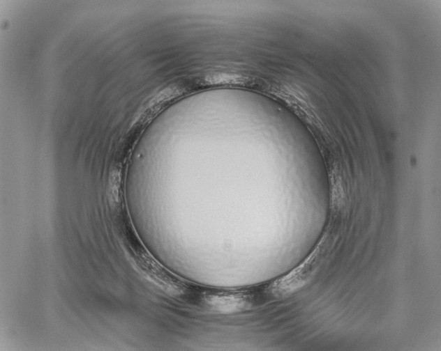 X0000062670171200601041019