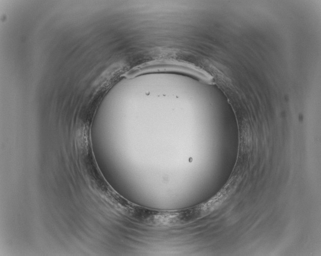 X0000062670172200601041019