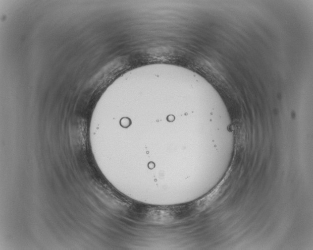 X0000062670174200601041019