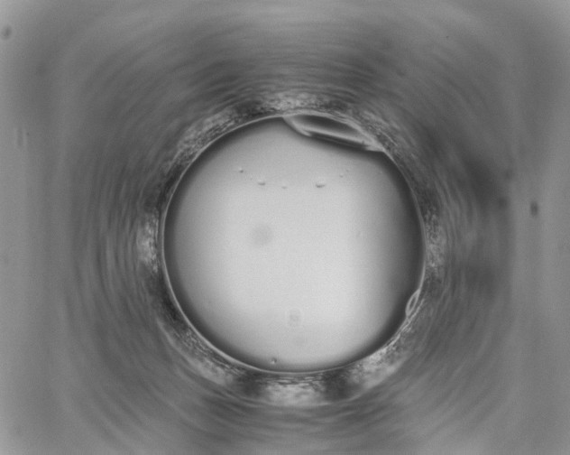 X0000062670175200601041019