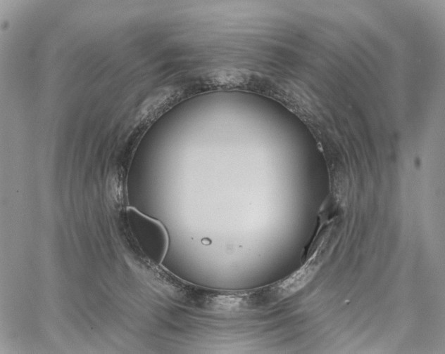 X0000062670176200601041019