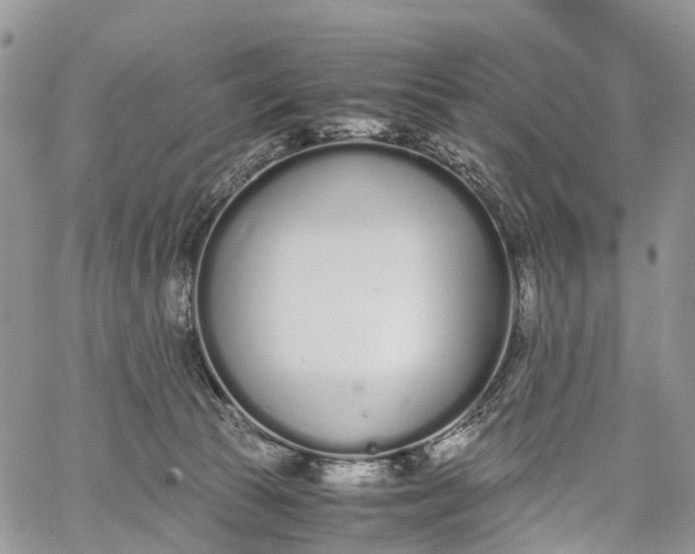 X0000062670177200601041019