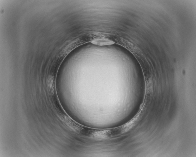 X0000062670178200601041019