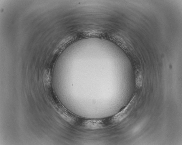 X0000062670179200601041019