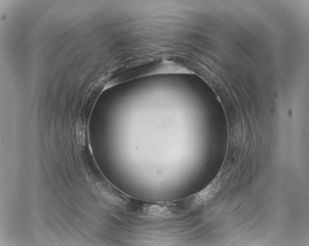 X0000062670180200601041019