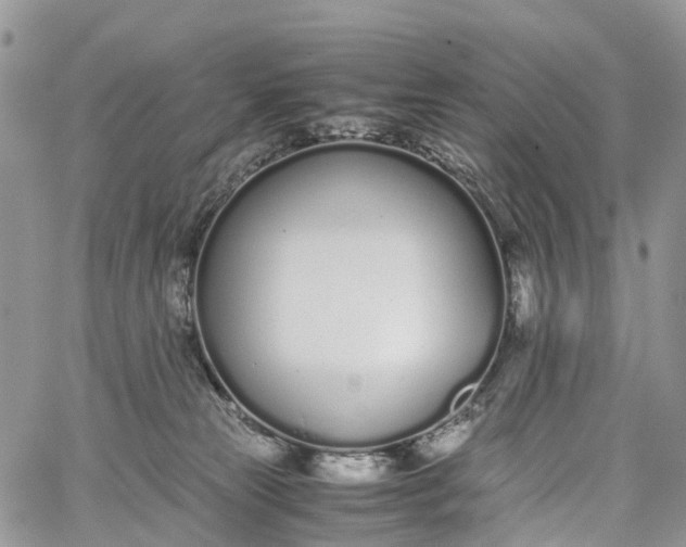 X0000062670181200601041019