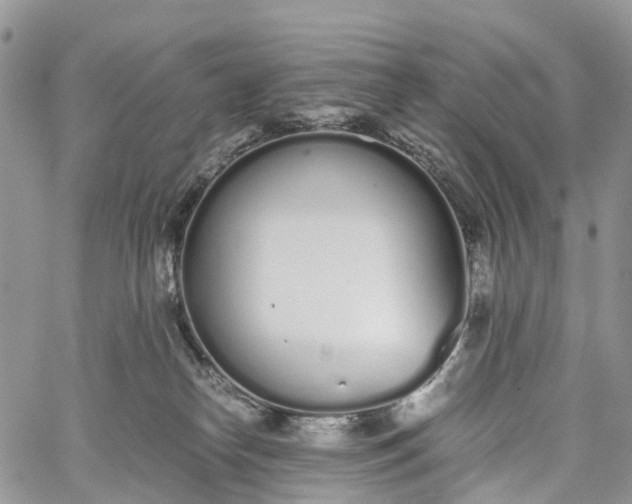 X0000062670182200601041019