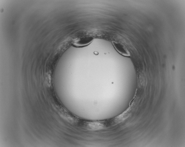 X0000062670183200601041019