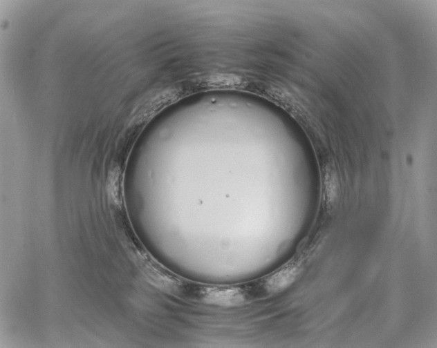 X0000062670185200601041019