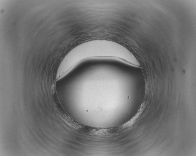 X0000062670186200601041019