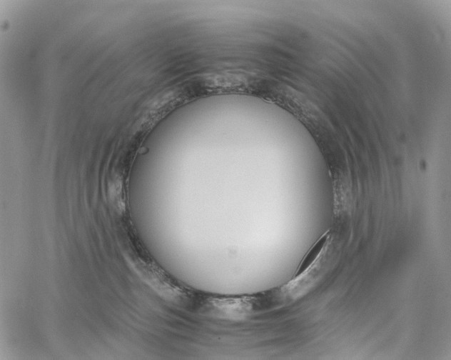 X0000062670187200601041019