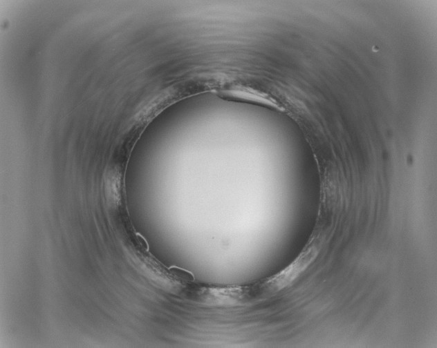 X0000062670188200601041019