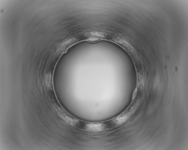 X0000062670189200601041019