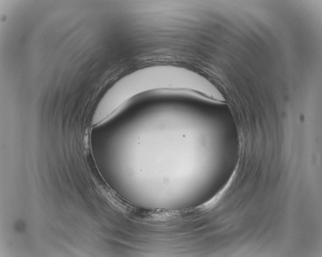 X0000062670190200601041019