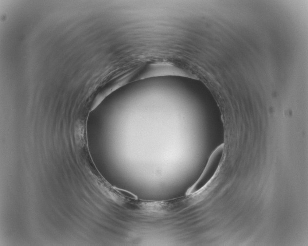 X0000062670192200601041019