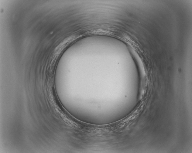 X0000062670193200601041018