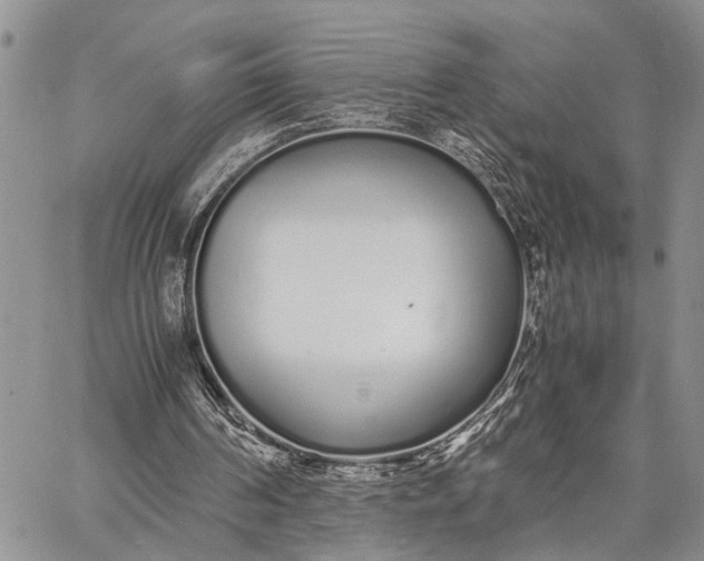 X0000062670194200601041018