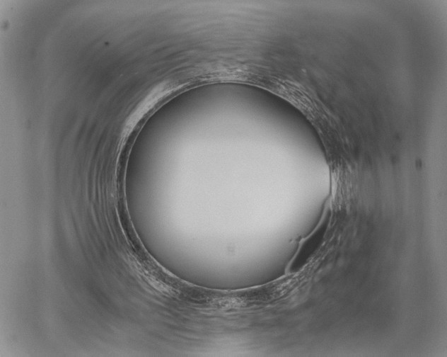 X0000062670195200601041018