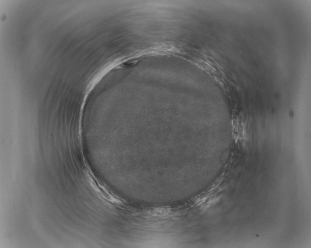 X0000062670196200601041018