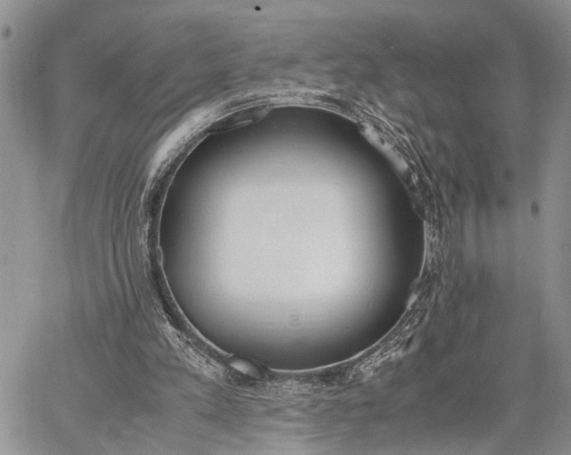 X0000062670197200601041018