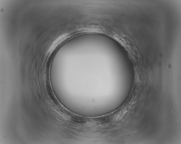 X0000062670199200601041018