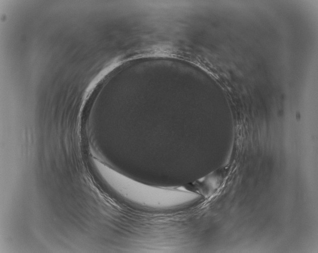 X0000062670200200601041018