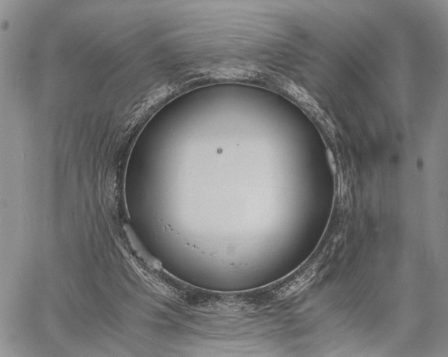 X0000062670201200601041018