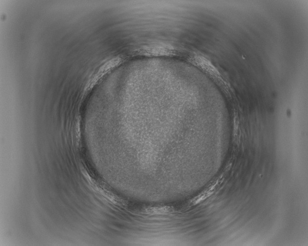 X0000062670202200601041018