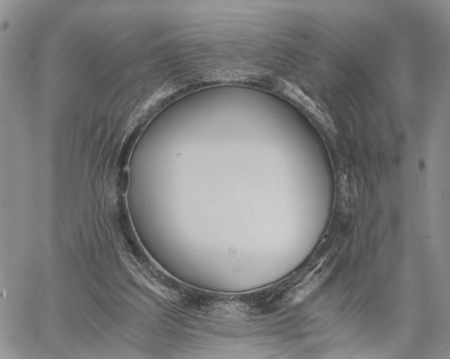 X0000062670203200601041018