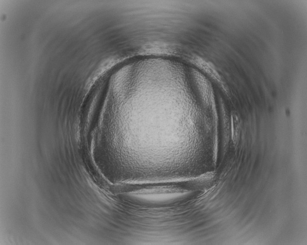 X0000062670204200601041018