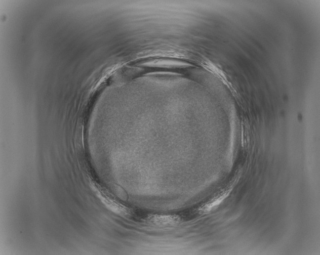 X0000062670205200601041018