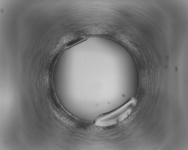 X0000062670207200601041018