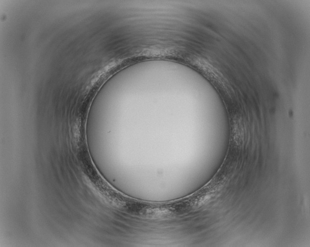 X0000062670208200601041018