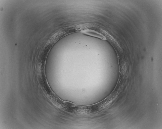 X0000062670209200601041018