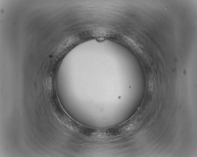 X0000062670211200601041018