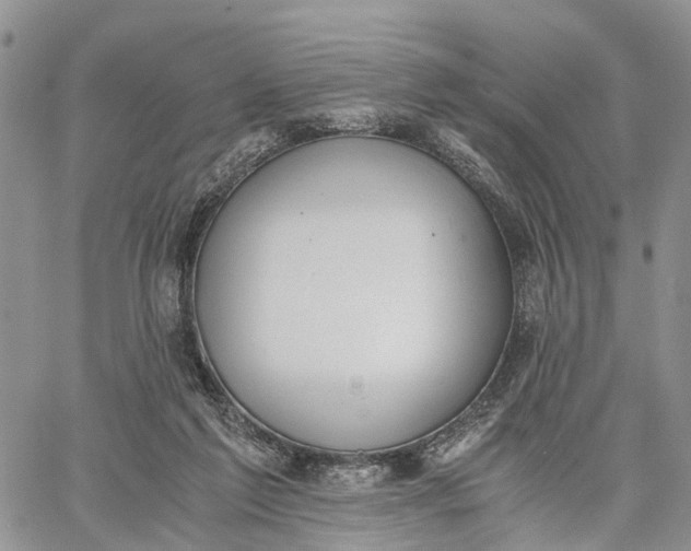 X0000062670213200601041018