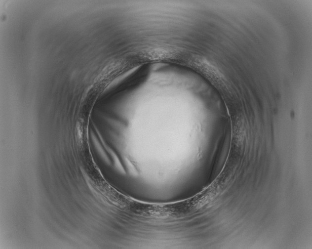 X0000062670214200601041018