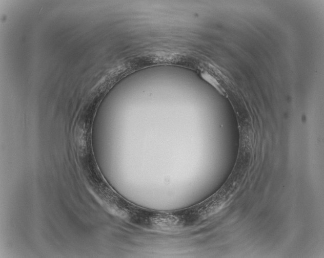 X0000062670215200601041018