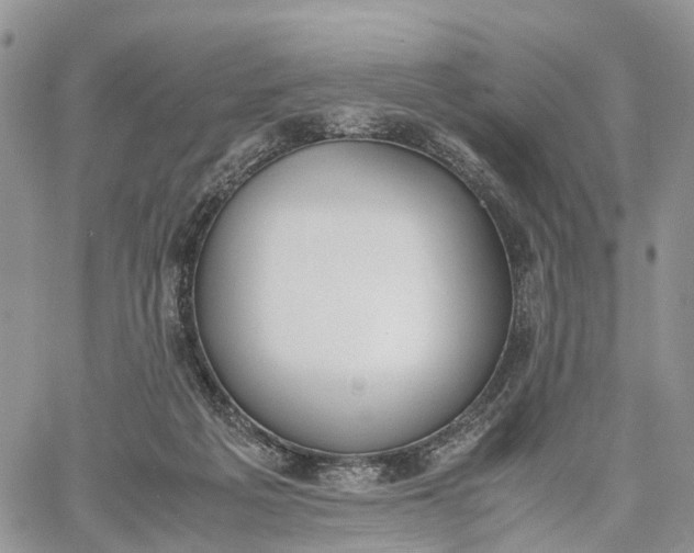 X0000062670217200601041018