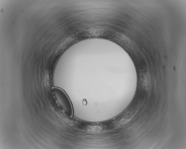 X0000062670220200601041018