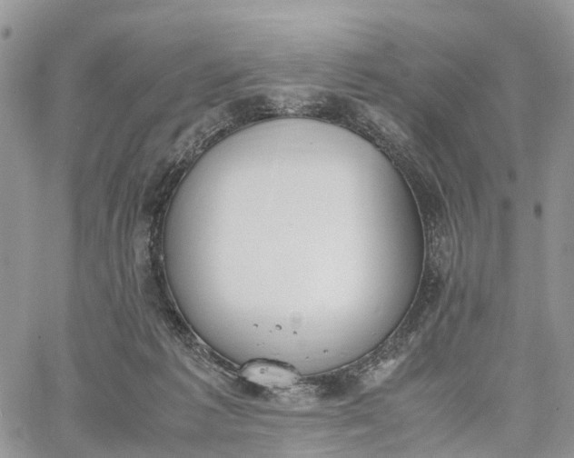 X0000062670221200601041018