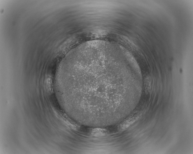 X0000062670222200601041018