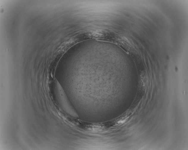 X0000062670223200601041018