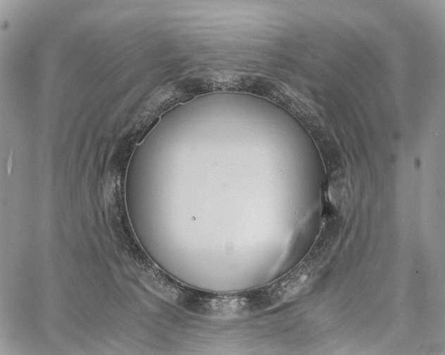 X0000062670225200601041018