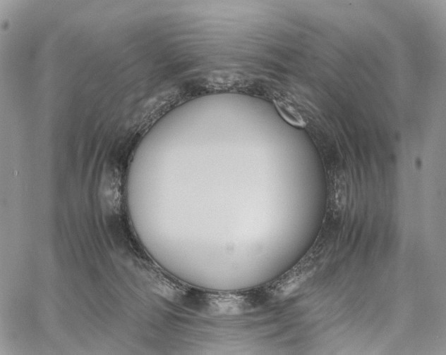 X0000062670226200601041018